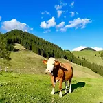 Apartamento Alpin *