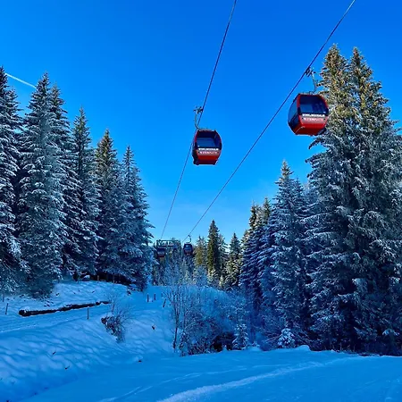 Alpin Reit im Winkl
